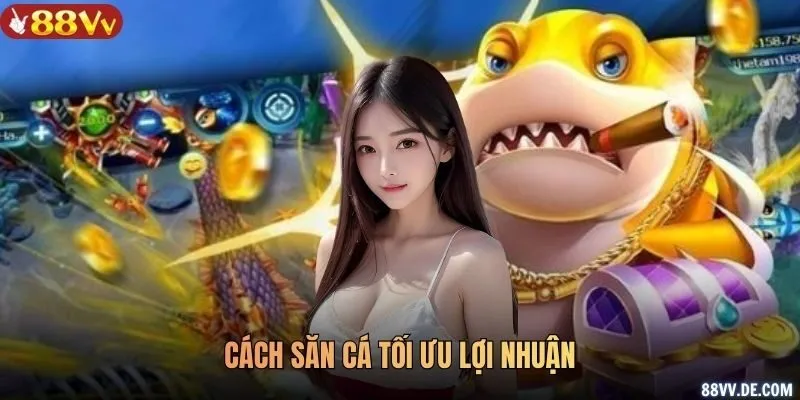 cách săn cá tối ưu lợi nhuận